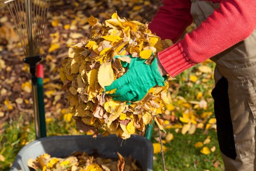 Waste Removal Services in Battersea