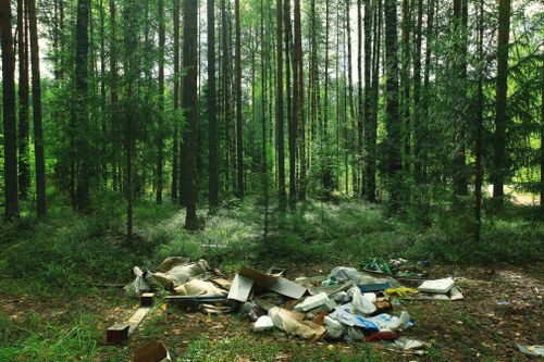 Eco-friendly garden clearance in South London